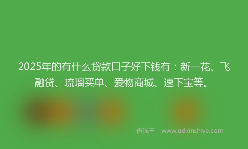 2025年的有什么贷款口子好下钱有：新一花、飞融贷、琉璃买单、爱物商城、速下宝等。
