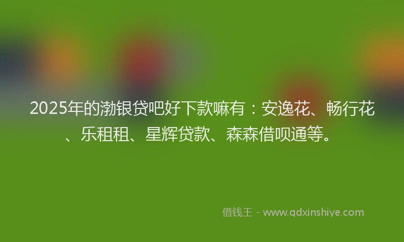 2025年的渤银贷吧好下款嘛有：安逸花、畅行花、乐租租、星辉贷款、森森借呗通等。