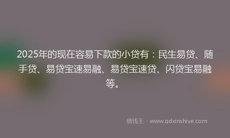2025年的现在容易下款的小贷有：民生易贷、随手贷、易贷宝速易融、易贷宝速贷、闪贷宝易融等。