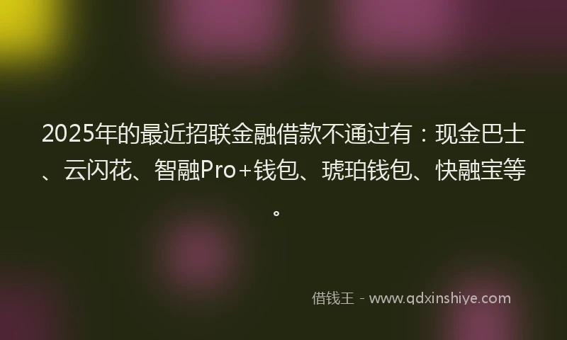 2025年的最近招联金融借款不通过有：现金巴士、云闪花、智融Pro+钱包、琥珀钱包、快融宝等。