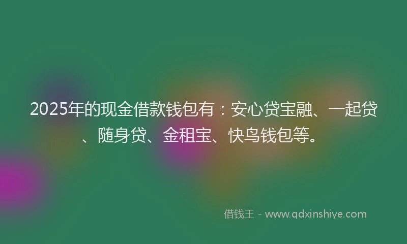 2025年的现金借款钱包有：安心贷宝融、一起贷、随身贷、金租宝、快鸟钱包等。