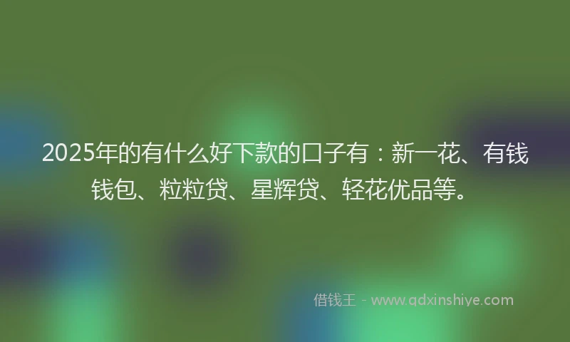 2025年的有什么好下款的口子有：新一花、有钱钱包、粒粒贷、星辉贷、轻花优品等。
