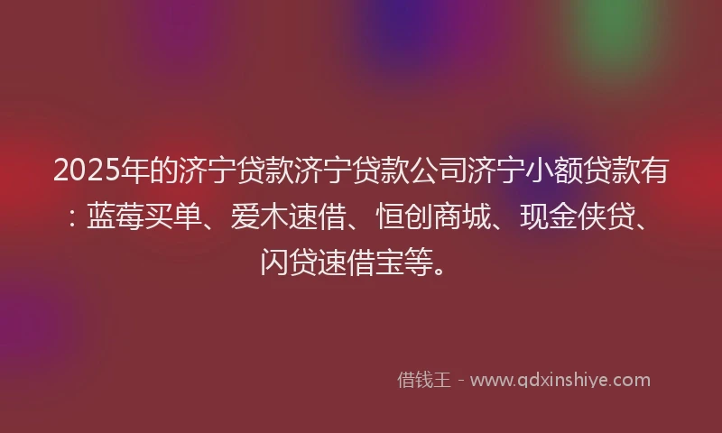 2025年的济宁贷款济宁贷款公司济宁小额贷款有：蓝莓买单、爱木速借、恒创商城、现金侠贷、闪贷速借宝等。