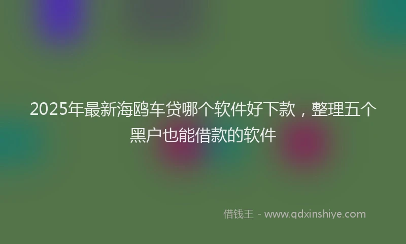 2025年最新海鸥车贷哪个软件好下款，整理五个黑户也能借款的软件