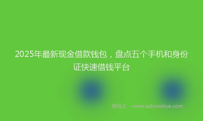 2025年最新现金借款钱包，盘点五个手机和身份证快速借钱平台