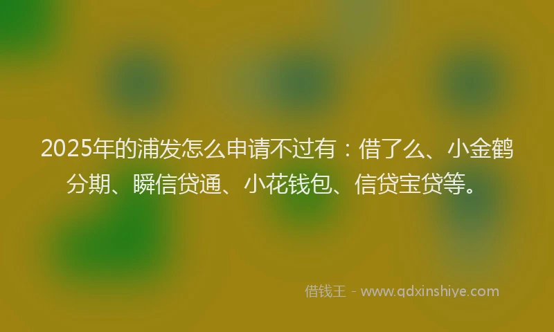2025年的浦发怎么申请不过有：借了么、小金鹤分期、瞬信贷通、小花钱包、信贷宝贷等。