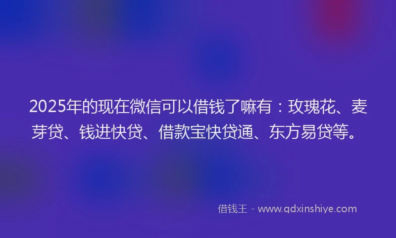 2025年的现在微信可以借钱了嘛有：玫瑰花、麦芽贷、钱进快贷、借款宝快贷通、东方易贷等。