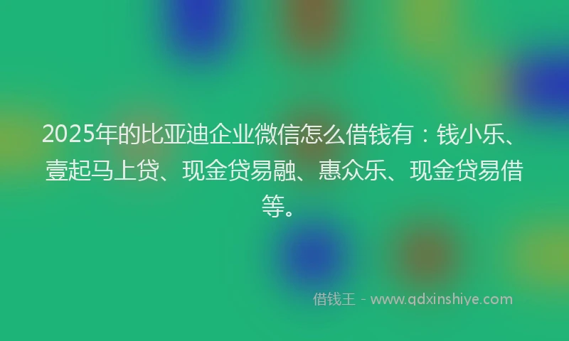 2025年的比亚迪企业微信怎么借钱有：钱小乐、壹起马上贷、现金贷易融、惠众乐、现金贷易借等。