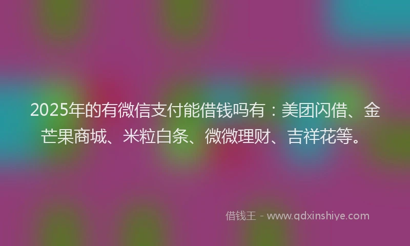 2025年的有微信支付能借钱吗有：美团闪借、金芒果商城、米粒白条、微微理财、吉祥花等。
