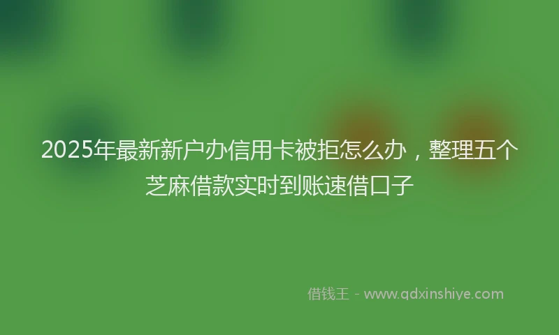 2025年最新新户办信用卡被拒怎么办，整理五个芝麻借款实时到账速借口子