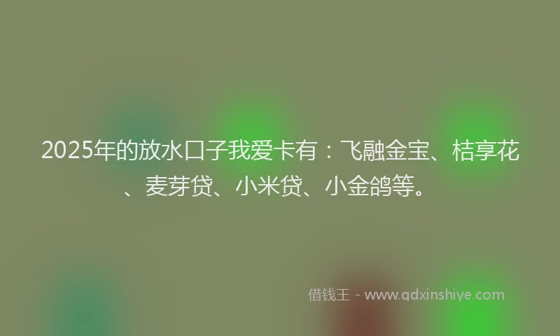 2025年的放水口子我爱卡有：飞融金宝、桔享花、麦芽贷、小米贷、小金鸽等。
