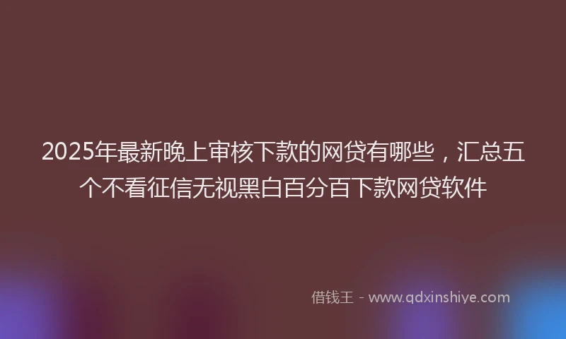 2025年最新晚上审核下款的网贷有哪些，汇总五个不看征信无视黑白百分百下款网贷软件