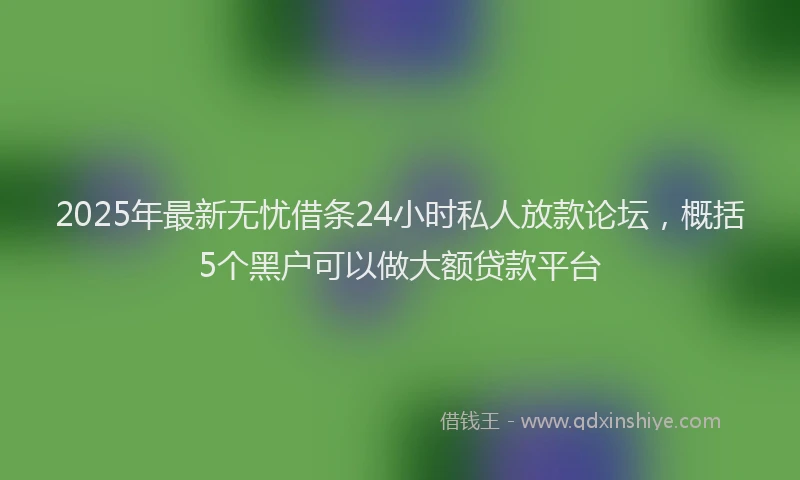 2025年最新无忧借条24小时私人放款论坛，概括5个黑户可以做大额贷款平台