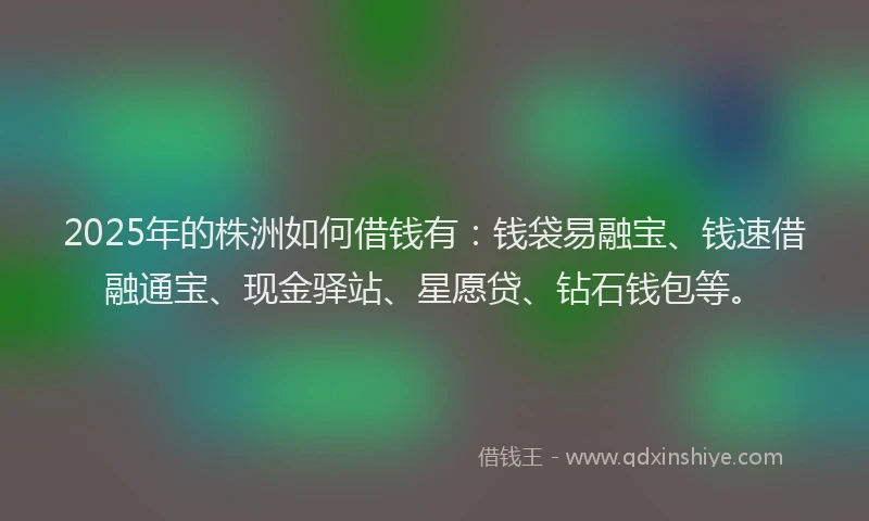 2025年的株洲如何借钱有：钱袋易融宝、钱速借融通宝、现金驿站、星愿贷、钻石钱包等。