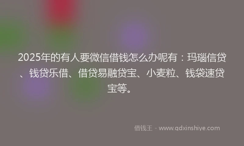 2025年的有人要微信借钱怎么办呢有：玛瑙信贷、钱贷乐借、借贷易融贷宝、小麦粒、钱袋速贷宝等。