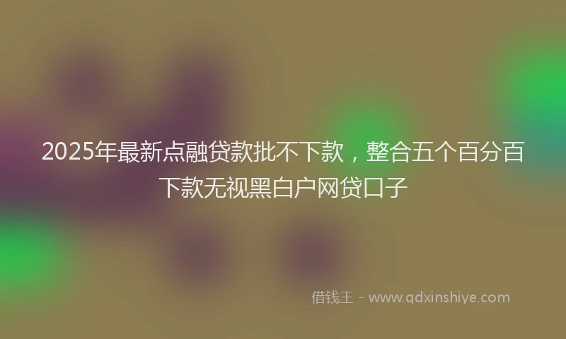 2025年最新点融贷款批不下款，整合五个百分百下款无视黑白户网贷口子