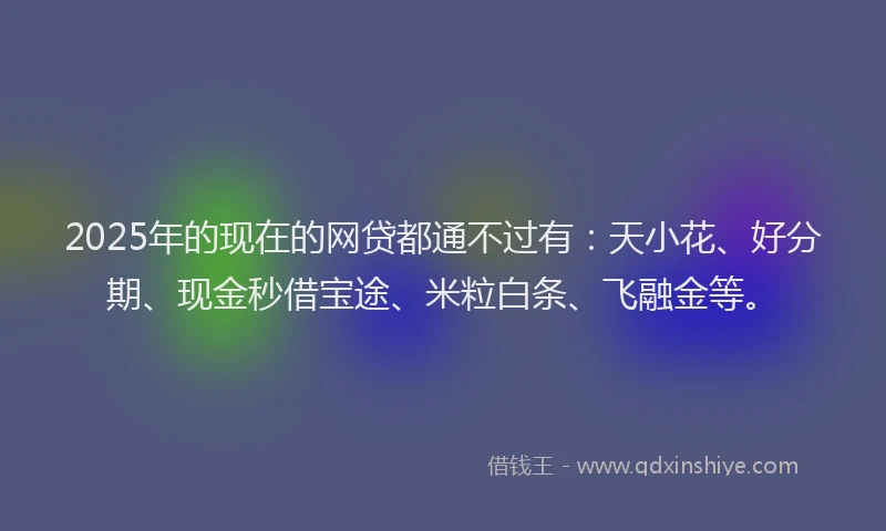 2025年的现在的网贷都通不过有：天小花、好分期、现金秒借宝途、米粒白条、飞融金等。