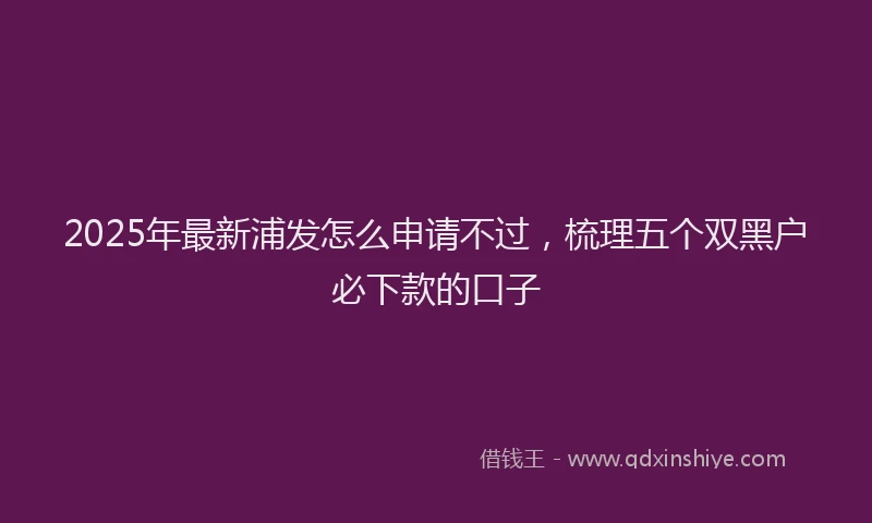 2025年最新浦发怎么申请不过，梳理五个双黑户必下款的口子