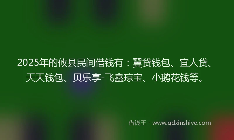 2025年的攸县民间借钱有：翼贷钱包、宜人贷、天天钱包、贝乐享-飞鑫琼宝、小鹅花钱等。