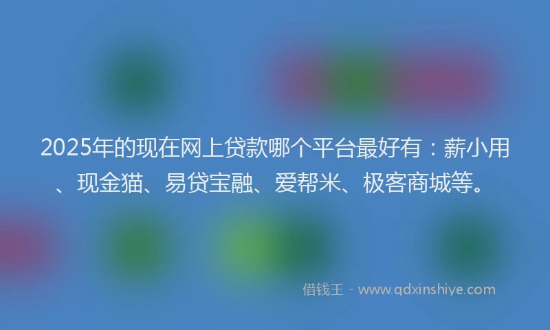 2025年的现在网上贷款哪个平台最好有：薪小用、现金猫、易贷宝融、爱帮米、极客商城等。