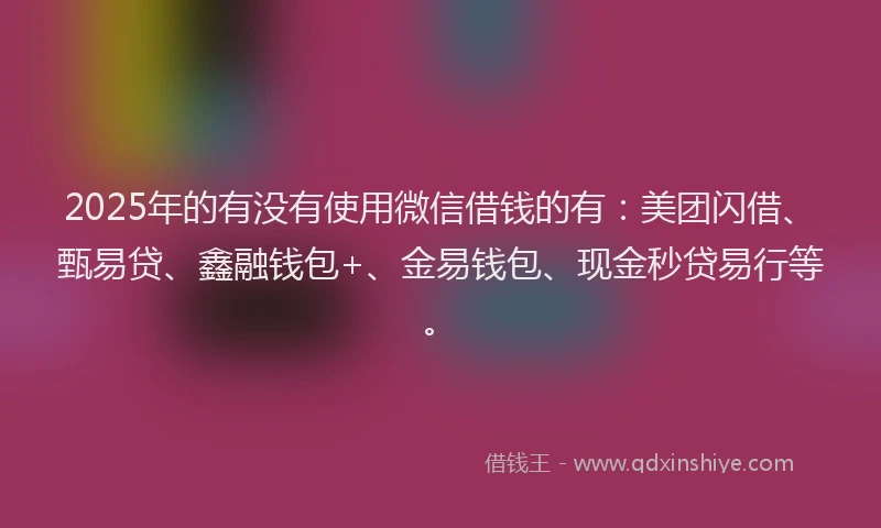 2025年的有没有使用微信借钱的有：美团闪借、甄易贷、鑫融钱包+、金易钱包、现金秒贷易行等。