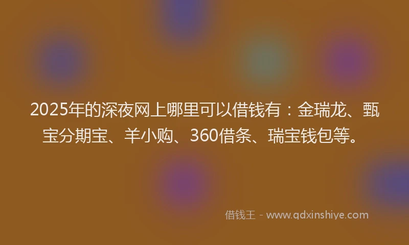 2025年的深夜网上哪里可以借钱有：金瑞龙、甄宝分期宝、羊小购、360借条、瑞宝钱包等。
