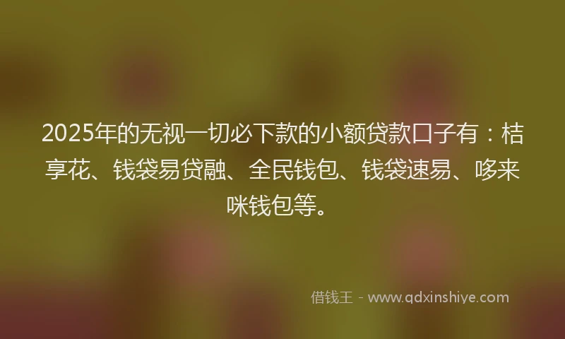 2025年的无视一切必下款的小额贷款口子有：桔享花、钱袋易贷融、全民钱包、钱袋速易、哆来咪钱包等。