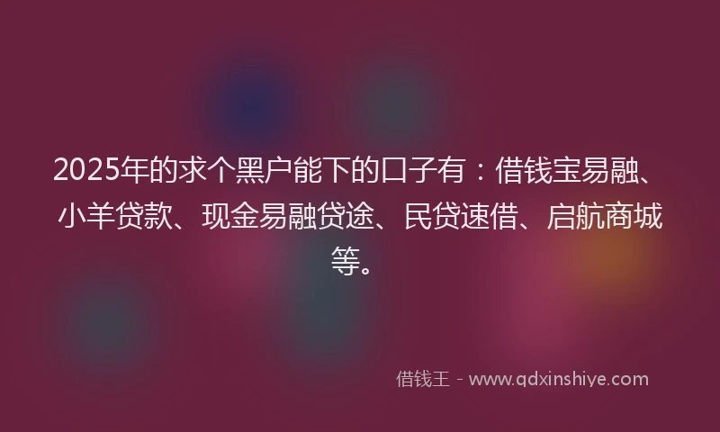 2025年的求个黑户能下的口子有：借钱宝易融、小羊贷款、现金易融贷途、民贷速借、启航商城等。