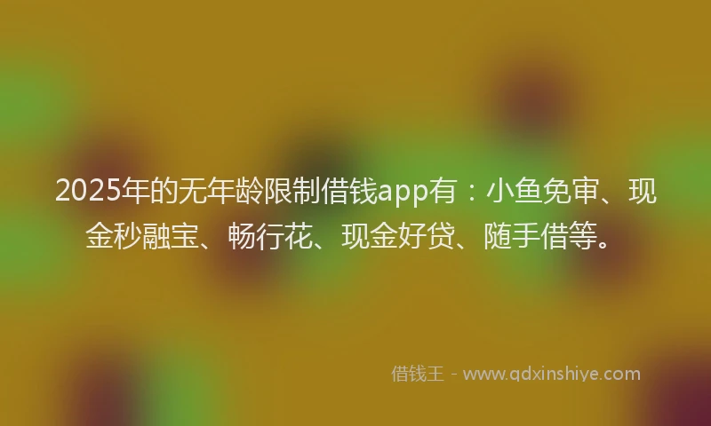 2025年的无年龄限制借钱app有：小鱼免审、现金秒融宝、畅行花、现金好贷、随手借等。