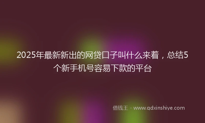 2025年最新新出的网贷口子叫什么来着，总结5个新手机号容易下款的平台