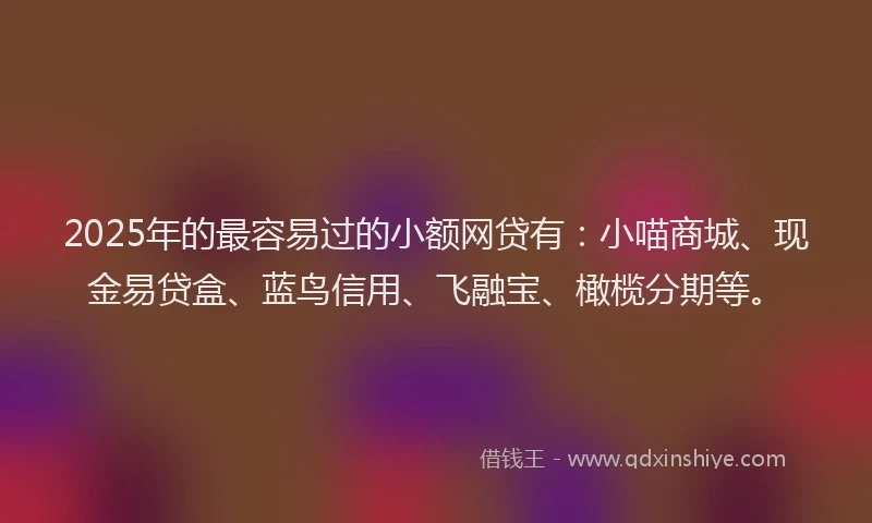 2025年的最容易过的小额网贷有：小喵商城、现金易贷盒、蓝鸟信用、飞融宝、橄榄分期等。