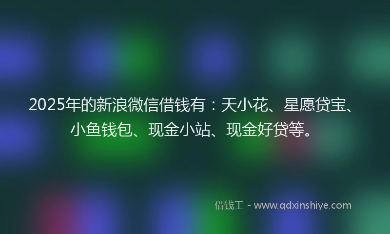 2025年的新浪微信借钱有：天小花、星愿贷宝、小鱼钱包、现金小站、现金好贷等。