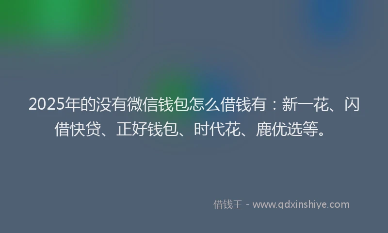 2025年的没有微信钱包怎么借钱有：新一花、闪借快贷、正好钱包、时代花、鹿优选等。