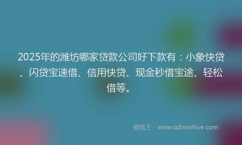 2025年的潍坊哪家贷款公司好下款有：小象快贷、闪贷宝速借、信用快贷、现金秒借宝途、轻松借等。