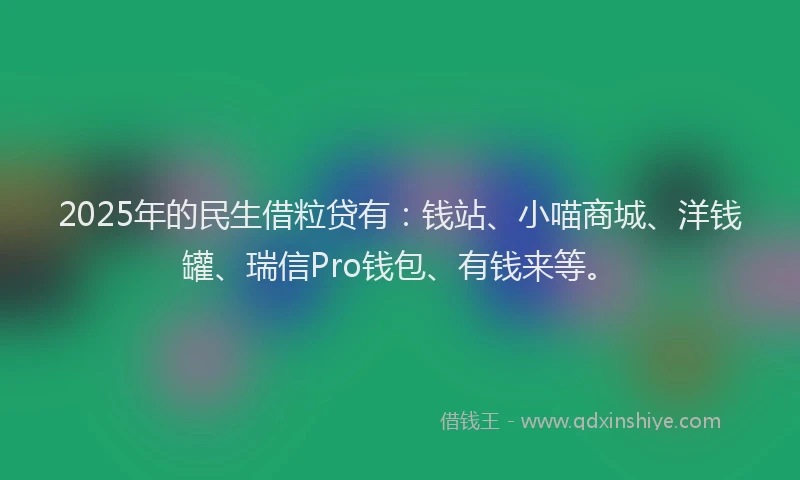 2025年的民生借粒贷有：钱站、小喵商城、洋钱罐、瑞信Pro钱包、有钱来等。