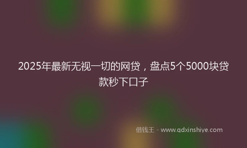 2025年最新无视一切的网贷，盘点5个5000块贷款秒下口子