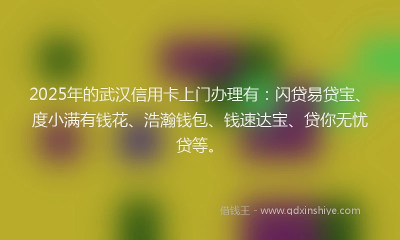2025年的武汉信用卡上门办理有：闪贷易贷宝、度小满有钱花、浩瀚钱包、钱速达宝、贷你无忧贷等。