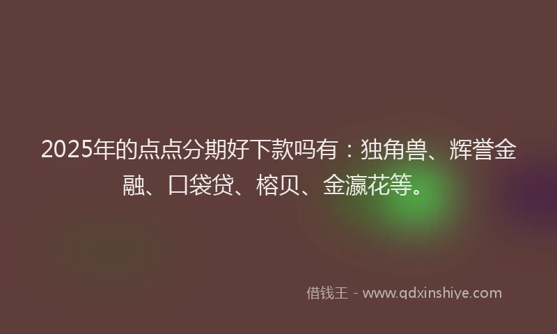 2025年的点点分期好下款吗有：独角兽、辉誉金融、口袋贷、榕贝、金瀛花等。