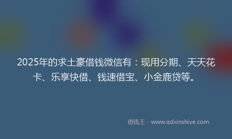 2025年的求土豪借钱微信有：现用分期、天天花卡、乐享快借、钱速借宝、小金鹿贷等。