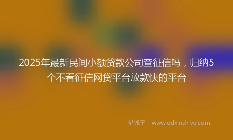 2025年最新民间小额贷款公司查征信吗，归纳5个不看征信网贷平台放款快的平台