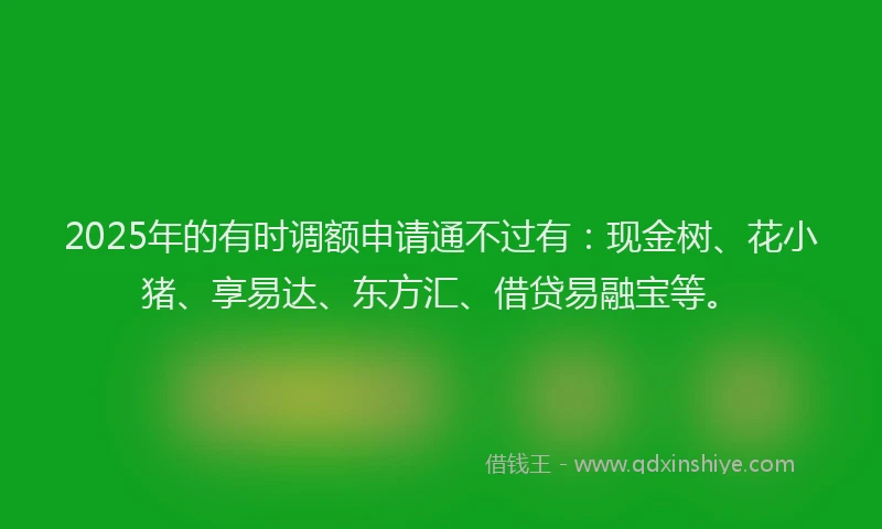 2025年的有时调额申请通不过有：现金树、花小猪、享易达、东方汇、借贷易融宝等。