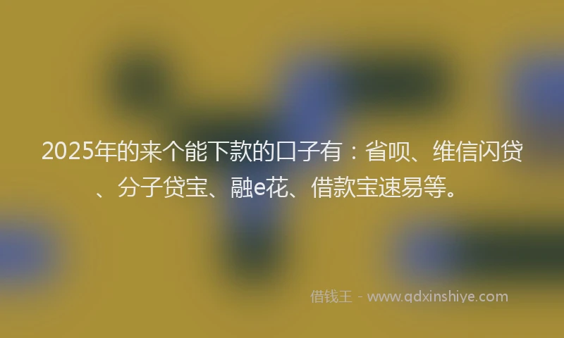 2025年的来个能下款的口子有：省呗、维信闪贷、分子贷宝、融e花、借款宝速易等。