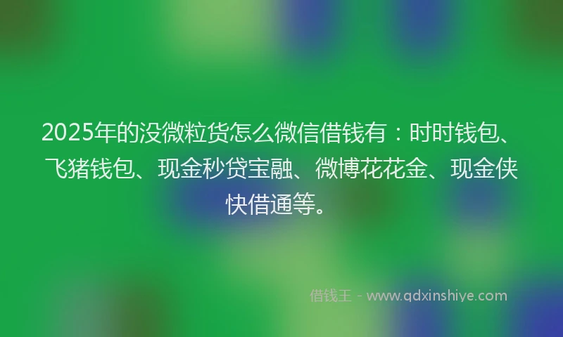 2025年的没微粒货怎么微信借钱有：时时钱包、飞猪钱包、现金秒贷宝融、微博花花金、现金侠快借通等。