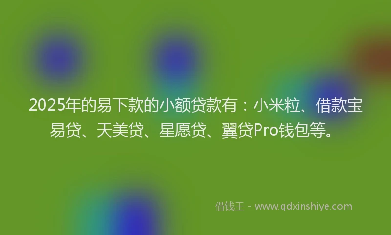 2025年的易下款的小额贷款有：小米粒、借款宝易贷、天美贷、星愿贷、翼贷Pro钱包等。