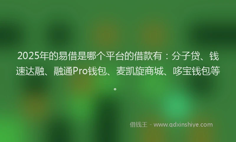 2025年的易借是哪个平台的借款有：分子贷、钱速达融、融通Pro钱包、麦凯旋商城、哆宝钱包等。