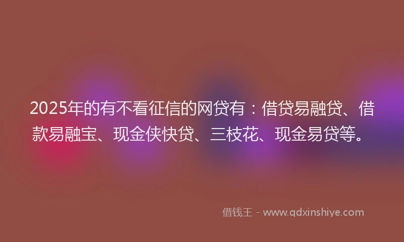 2025年的有不看征信的网贷有：借贷易融贷、借款易融宝、现金侠快贷、三枝花、现金易贷等。