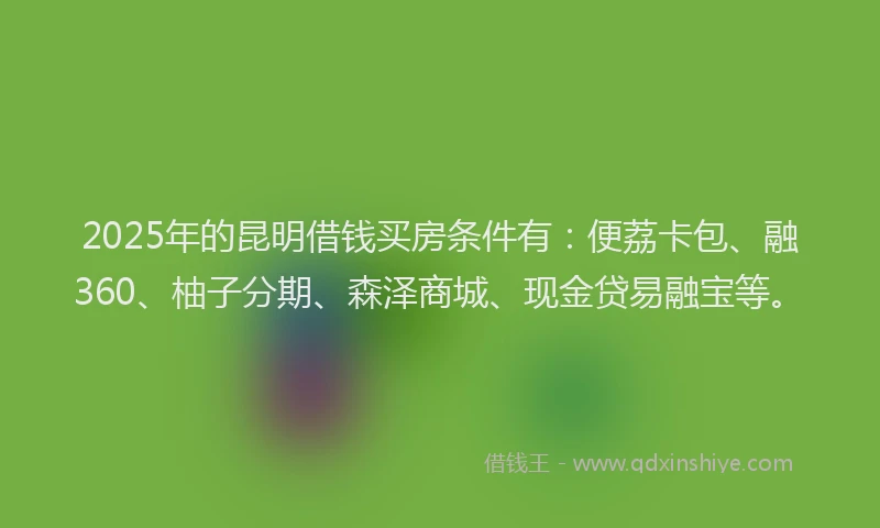 2025年的昆明借钱买房条件有：便荔卡包、融360、柚子分期、森泽商城、现金贷易融宝等。