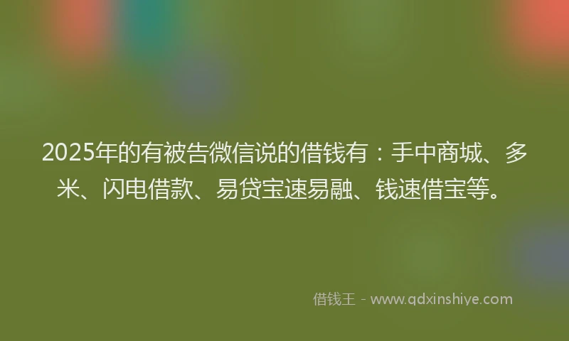 2025年的有被告微信说的借钱有：手中商城、多米、闪电借款、易贷宝速易融、钱速借宝等。