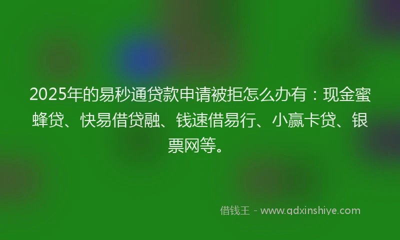 2025年的易秒通贷款申请被拒怎么办有：现金蜜蜂贷、快易借贷融、钱速借易行、小赢卡贷、银票网等。