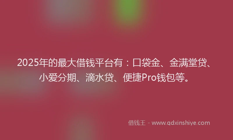 2025年的最大借钱平台有：口袋金、金满堂贷、小爱分期、滴水贷、便捷Pro钱包等。